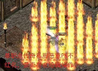 单职业传奇私服恶意PK不红名,是否存在隐藏操作? 单职业传奇私服恶意PK不红名,是否存在隐藏操作?