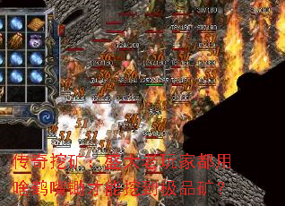 �����ڿ�ʢ������Ҷ���ɶ����������ڵ���Ʒ��