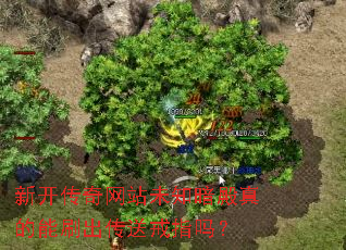 新开传奇网站未知暗殿真的能刷出传送戒指吗? 新开传奇网站未知暗殿真的能刷出传送戒指吗?