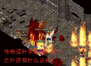 传奇提升幸运值:蛮力之外还有什么诀窍? 传奇提升幸运值:蛮力之外还有什么诀窍?