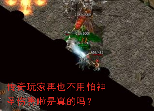 传奇玩家再也不用怕神圣伤害啦是真的吗? 传奇玩家再也不用怕神圣伤害啦是真的吗?
