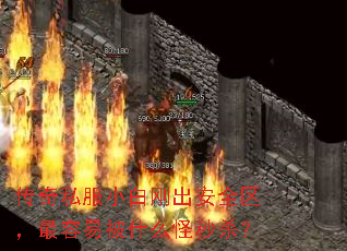传奇私服小白刚出安全区,最容易被什么怪秒杀? 传奇私服小白刚出安全区,最容易被什么怪秒杀?