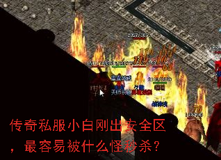 传奇私服小白刚出安全区,最容易被什么怪秒杀? 传奇私服小白刚出安全区,最容易被什么怪秒杀?