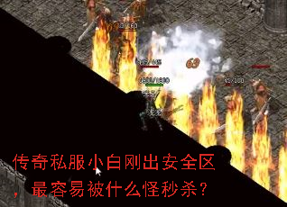 传奇私服小白刚出安全区,最容易被什么怪秒杀? 传奇私服小白刚出安全区,最容易被什么怪秒杀?