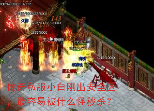 传奇私服小白刚出安全区,最容易被什么怪秒杀? 传奇私服小白刚出安全区,最容易被什么怪秒杀?
