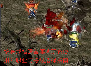 ������ָ�ʺ���Щ���ʹ�ã�ְҵ��ȼ�ѡ��ָ��