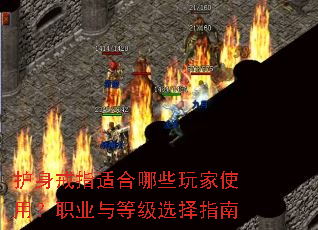 ������ָ�ʺ���Щ���ʹ�ã�ְҵ��ȼ�ѡ��ָ��
