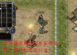 传奇屠龙属性究竟如何搭配才能轻松击败巨龙? 传奇屠龙属性究竟如何搭配才能轻松击败巨龙?