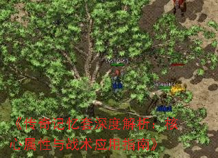 《传奇记忆套深度解析:核心属性与战术应用指南》 《传奇记忆套深度解析:核心属性与战术应用指南》