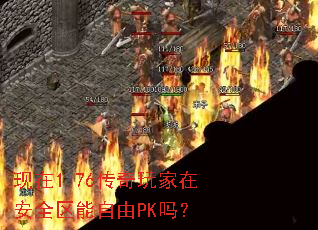现在1.76传奇玩家在安全区能自由PK吗? 现在1.76传奇玩家在安全区能自由PK吗?