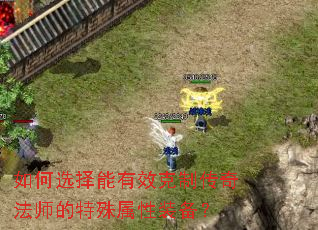如何选择能有效克制传奇法师的特殊属性装备? 如何选择能有效克制传奇法师的特殊属性装备?