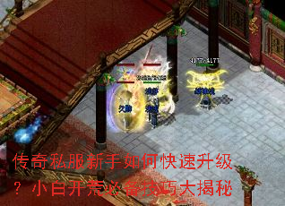 传奇私服新手如何快速升级?小白开荒必备技巧大揭秘 传奇私服新手如何快速升级?小白开荒必备技巧大揭秘