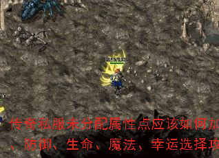 传奇私服未分配属性点应该如何加点?攻击、防御、生命、魔法、幸运选择攻略解析 传奇私服未分配属性点应该如何加点?攻击、防御、生命、魔法、幸运选择攻略解析