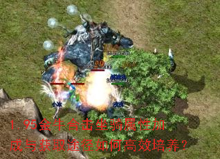 1.95金牛合击坐骑属性加成与获取途径如何高效培养? 1.95金牛合击坐骑属性加成与获取途径如何高效培养?