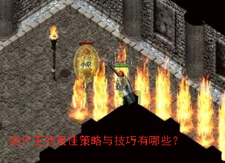 刷尸王的最佳策略与技巧有哪些? 刷尸王的最佳策略与技巧有哪些?