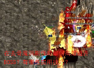 在去骨魔洞刷怪时如何高效避开BOSS?有哪些实用技巧? 在去骨魔洞刷怪时如何高效避开BOSS?有哪些实用技巧?