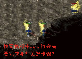 ����˽���г����л���Ҫ�����Щ�ؼ����裿