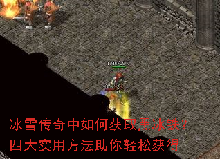 ��ѩ��������λ�ȡ�ڱ������Ĵ�ʵ�÷����������ɻ��