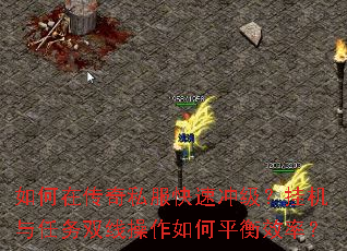 ����ڴ���˽�����ٳ弶���һ�������˫�߲������ƽ��Ч�ʣ�