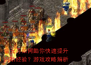 ��Ԫ�����������������ڹ����飿��Ϸ���Խ���
