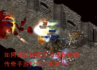 如何通过论坛学习提升嘟嘟传奇手游打怪任务效率? 如何通过论坛学习提升嘟嘟传奇手游打怪任务效率?