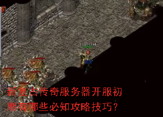新复古传奇服务器开服初期有哪些必知攻略技巧? 新复古传奇服务器开服初期有哪些必知攻略技巧?