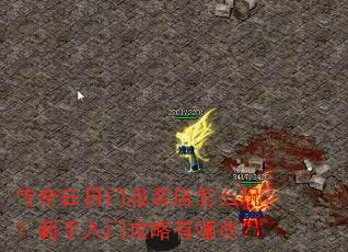 传奇白日门服装店怎么玩?新手入门攻略有哪些? 传奇白日门服装店怎么玩?新手入门攻略有哪些?