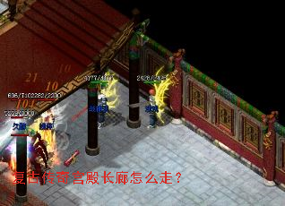 ���Ŵ��湬�����ô�ߣ�