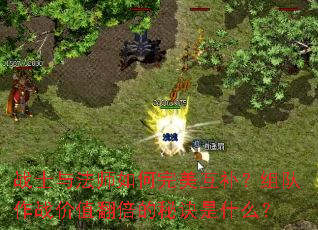 战士与法师如何完美互补?组队作战价值翻倍的秘诀是什么? 战士与法师如何完美互补?组队作战价值翻倍的秘诀是什么?
