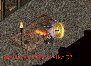 如何进入复古传神中的丛林迷宫? 如何进入复古传神中的丛林迷宫?
