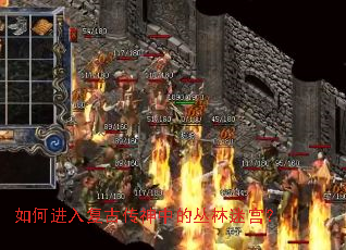 如何进入复古传神中的丛林迷宫? 如何进入复古传神中的丛林迷宫?