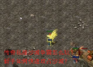 ����˽��ɳ��������ô�棿������ο��ٹ�ռɳ�ǣ�