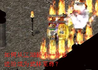 如何从江湖新手一步步进阶成为武林至尊? 如何从江湖新手一步步进阶成为武林至尊?