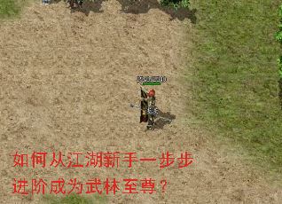 如何从江湖新手一步步进阶成为武林至尊? 如何从江湖新手一步步进阶成为武林至尊?