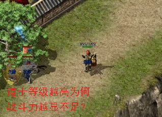 道士等级越高为何战斗力越显不足? 道士等级越高为何战斗力越显不足?