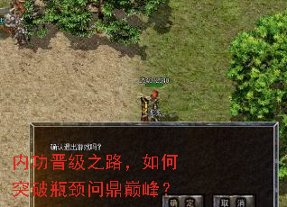 内功晋级之路,如何突破瓶颈问鼎巅峰? 内功晋级之路,如何突破瓶颈问鼎巅峰?