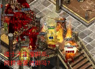 道士天生魔御高,同样需要防御吗? 道士天生魔御高,同样需要防御吗?