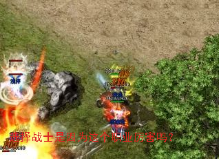 选择战士是因为这个职业厉害吗? 选择战士是因为这个职业厉害吗?