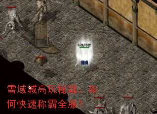 雪域城高玩秘籍:如何快速称霸全服? 雪域城高玩秘籍:如何快速称霸全服?