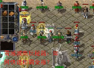 雪域城高玩秘籍:如何快速称霸全服? 雪域城高玩秘籍:如何快速称霸全服?