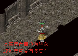 冰雪传奇血脉精华获取难度究竟有多高? 冰雪传奇血脉精华获取难度究竟有多高?
