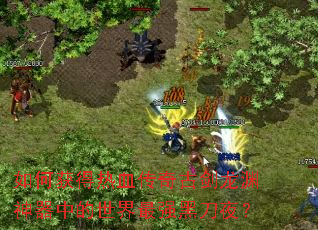 如何获得热血传奇古剑龙渊神器中的世界最强黑刀夜? 如何获得热血传奇古剑龙渊神器中的世界最强黑刀夜?