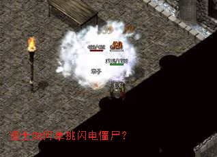 道士如何单挑闪电僵尸? 道士如何单挑闪电僵尸?