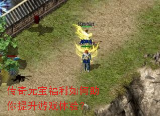 传奇元宝福利如何助你提升游戏体验? 传奇元宝福利如何助你提升游戏体验?