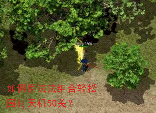 如何用法法组合轻松围打天机50关? 如何用法法组合轻松围打天机50关?