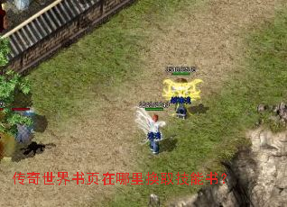 传奇世界书页在哪里换取技能书? 传奇世界书页在哪里换取技能书?