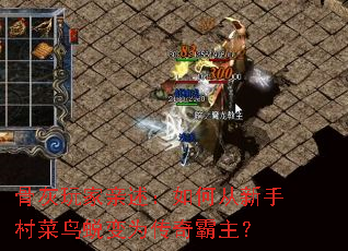 骨灰玩家亲述:如何从新手村菜鸟蜕变为传奇霸主? 骨灰玩家亲述:如何从新手村菜鸟蜕变为传奇霸主?