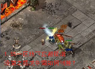 1.85一区地下宫殿硝烟漫溢之猛虎争霸如何制胜? 1.85一区地下宫殿硝烟漫溢之猛虎争霸如何制胜?