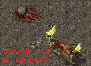 小道士如何狂练新区?新手必看攻略 小道士如何狂练新区?新手必看攻略