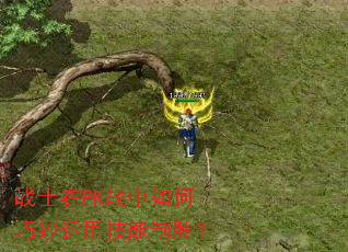 战士在PK战中如何巧妙运用技能制胜? 战士在PK战中如何巧妙运用技能制胜?